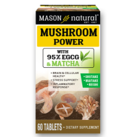 mason__natural_mushroom_power